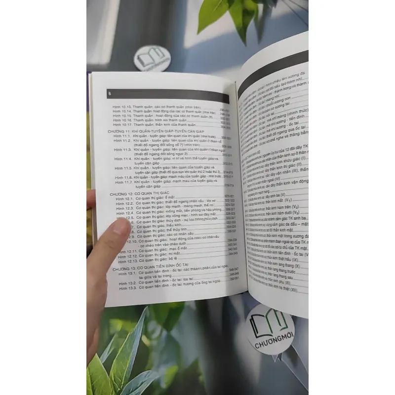 [MIỄN PHÍ BỌC SÁCH] Giải Phẫu (Đầu - Mặt - Cổ) - TS. Phạm Đăng Diệu 990450