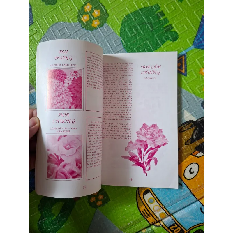 Ngôn Ngữ Các Loài Hoa 1025637