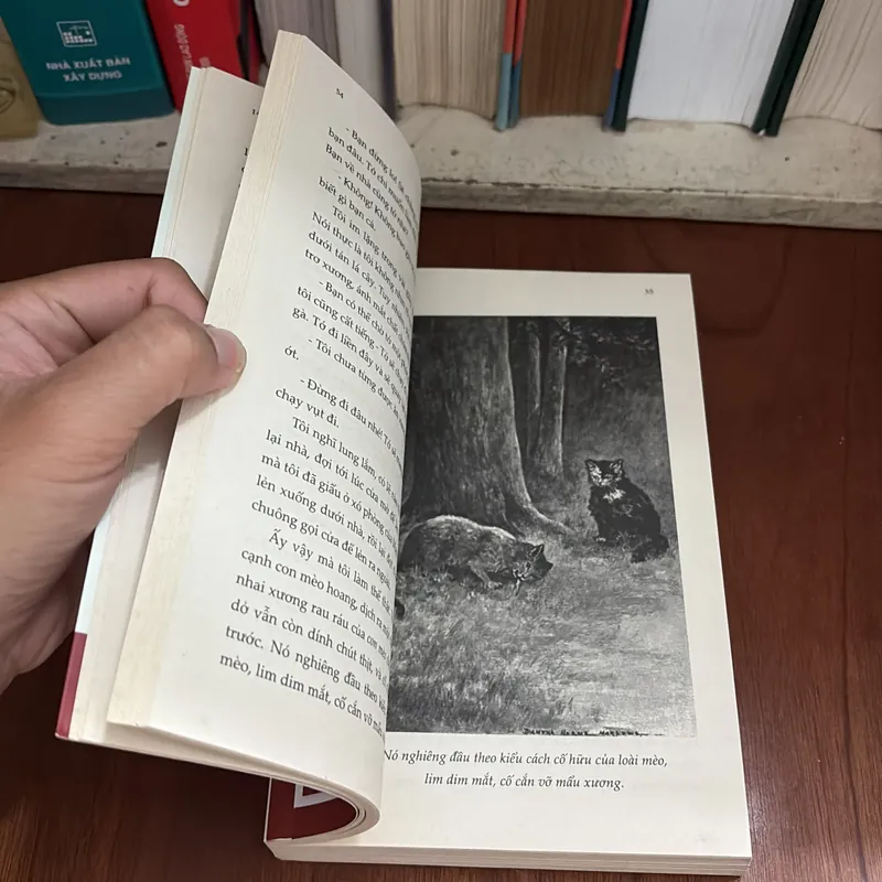 II Văn Học Thiếu Nhi: Mèo Mặt Nhọ - Margaret Marshall Saunders - ROGER VU (Dịch) - 2018 709229