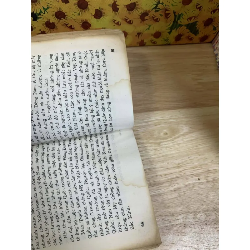 Con Rồng Đang Lấy Sức - Vich-to-Xa-ma-rin 748623