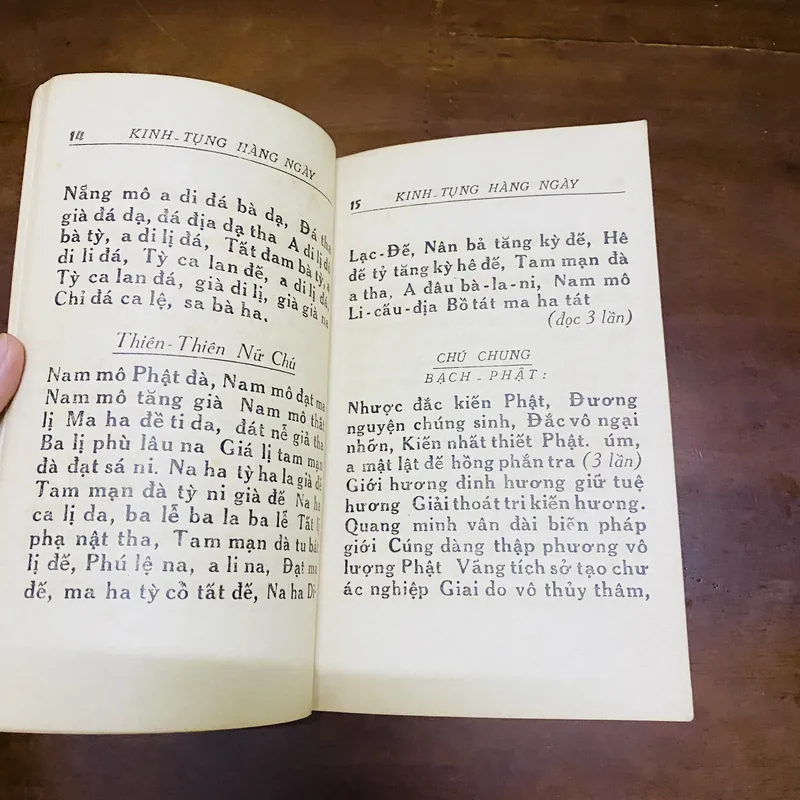 Kinh cứu khổ đại bi thập chú  719703