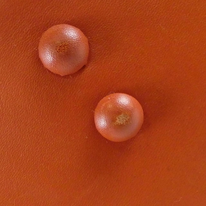 Túi Tory Burch 79949 618376