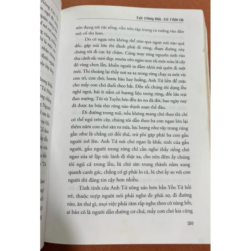 Thành cổ tinh tuyệt 🌊 595314