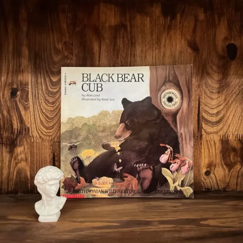 Black Bear Cub 974762