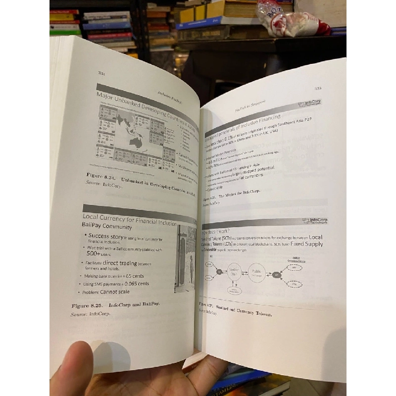 Inclusive Fintech - David LEE Kuo Chuen, Linda LOW 1028819