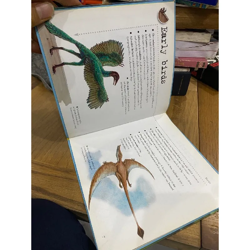 Bulletpoints about Animals 563589