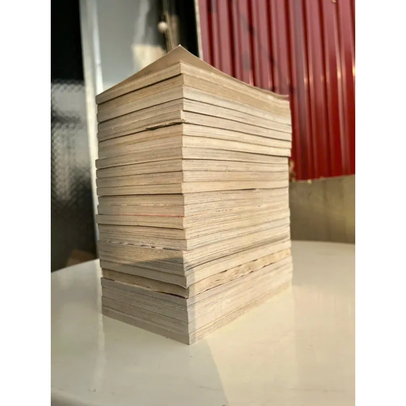 THIẾU NIÊN VƯƠNG 957364