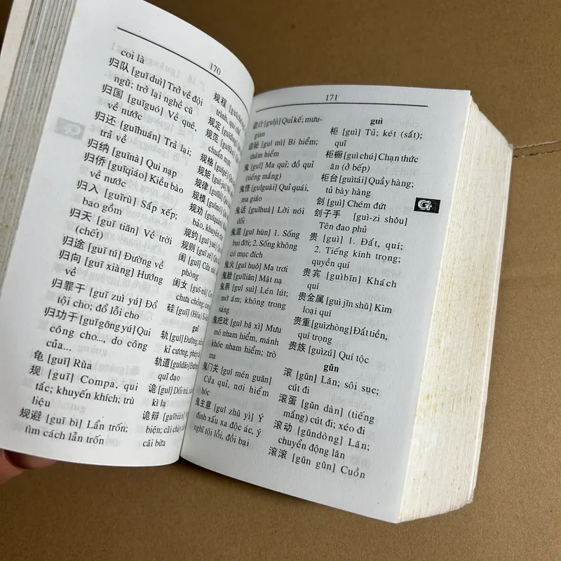 Từ điển Hoa Việt 732238