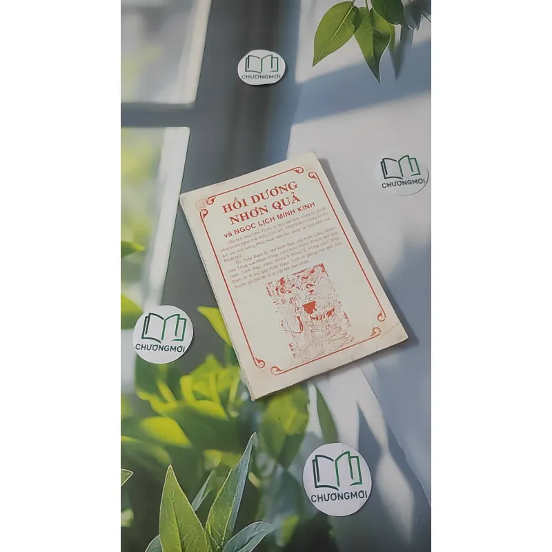 Hồi Dương Nhơn Quả 1018902