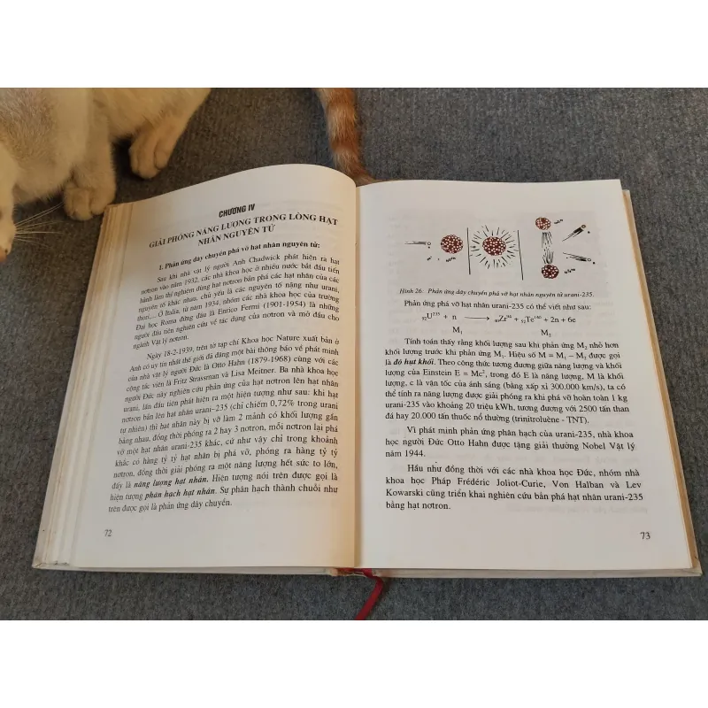 NĂNG LƯỢNG NGUYÊN TỬ VÀ ĐỜI SỐNG - GS.TS. ĐINH NGỌC LÂN 727184