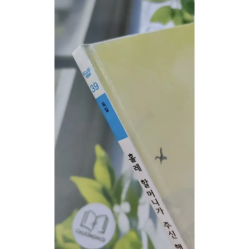 [Tặng nẹp góc] Truyện thiếu nhi Hàn Quốc: Moyamo Anu 39 -  모야모 아누와: 홀레 할머니가 주신 행운과 불행 732040