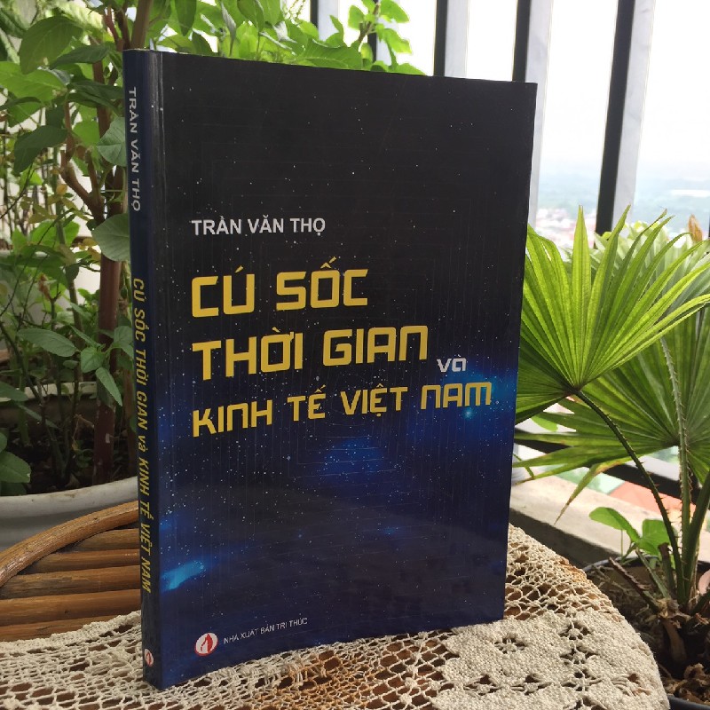 Cú sốc thời gian và kinh tế Việt Nam 10249