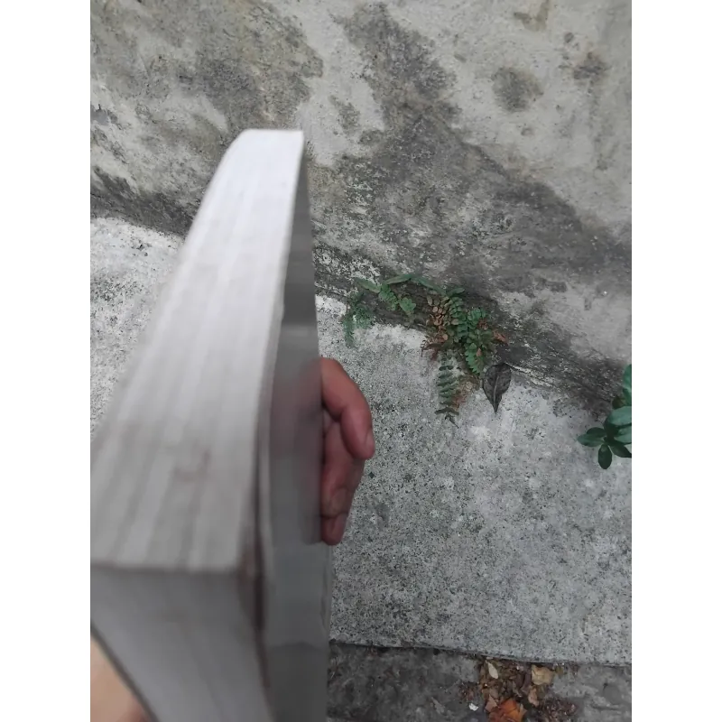 Amerca 's role in Asia ( Asian and American views ) 1021842