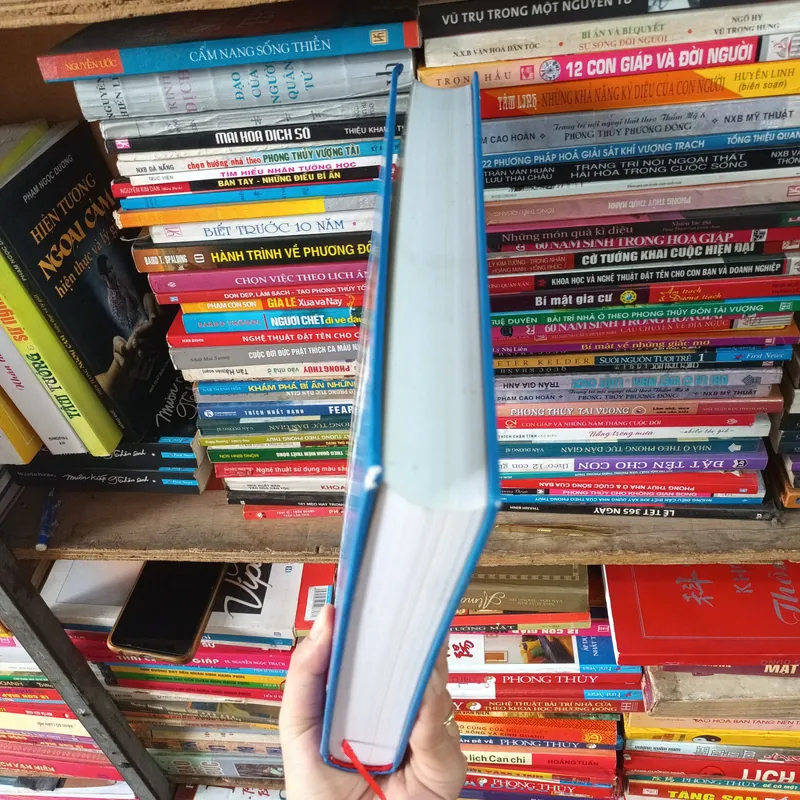 Kỳ Thư Cho Bách Gia- Lợi Tục Lê Xuân Phương 675180