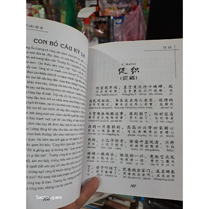 Truyện liêu trai 2008 mới 80% ố (Sách truyện) HCM1804 1021981