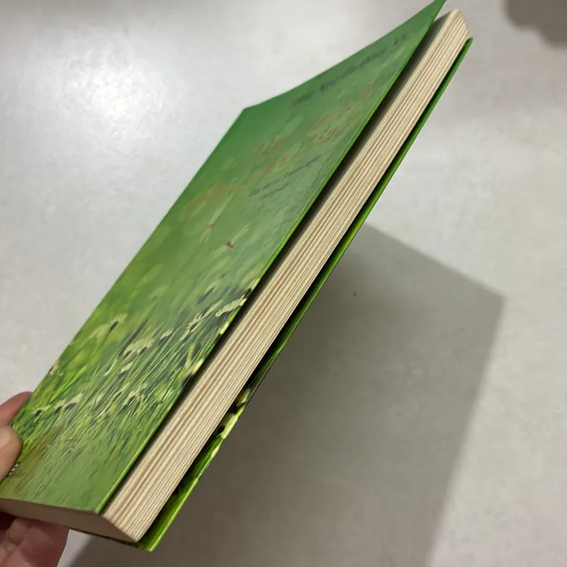 Hãy tìm tôi giữa cánh đồng - Đặng Nguyễn Đông Vy (t01) 750970