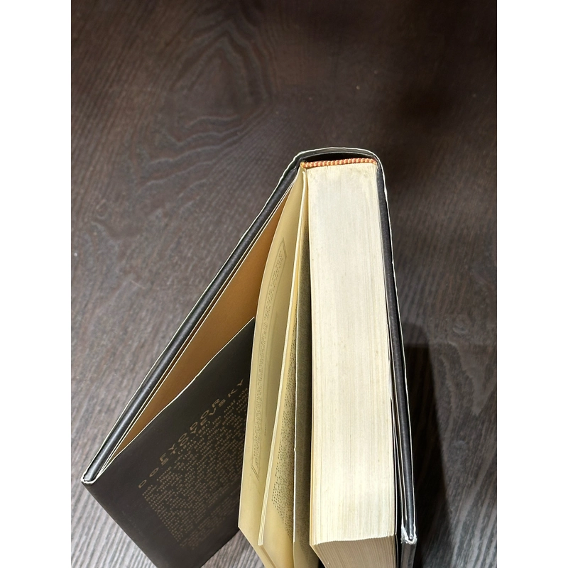 Tội ác và hình phạt - Fyodor Dostoevsky (Bìa cứng NN) 443814