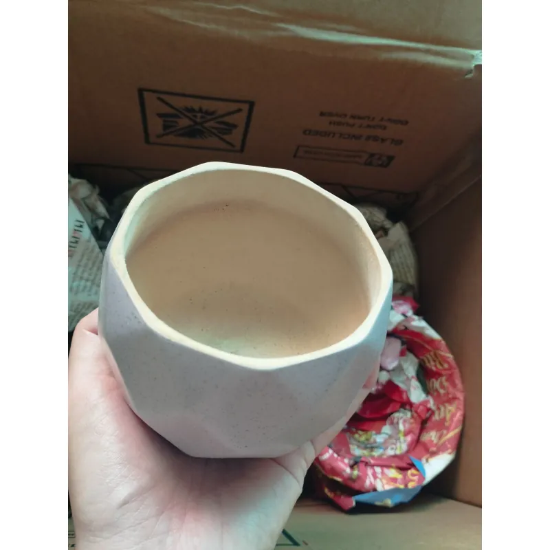 Chậu trồng sen đá 753600