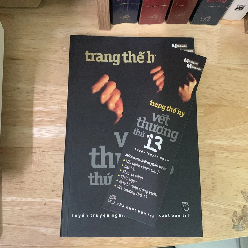 Vết thương thứ 13 - Trang Thế Hy 503426