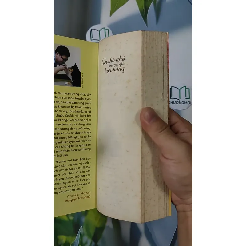 Con Chó Nhỏ Mang Giỏ Hoa Hồng - Nguyễn Nhật Ánh 798346