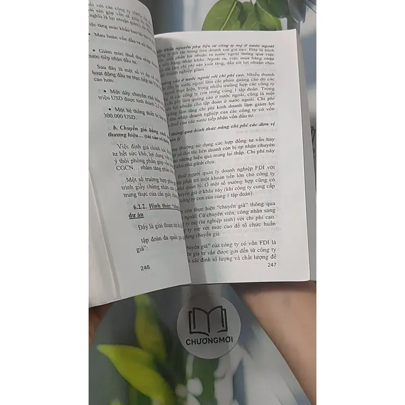 Kỹ thuật đầu tư trực tiếp nước ngoài - GS TS Võ Thanh Thu 688445