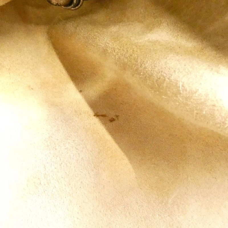 Bottega Veneta 115654 V0041 Túi đeo vai - Hàng hiệu Chính hãng 802424