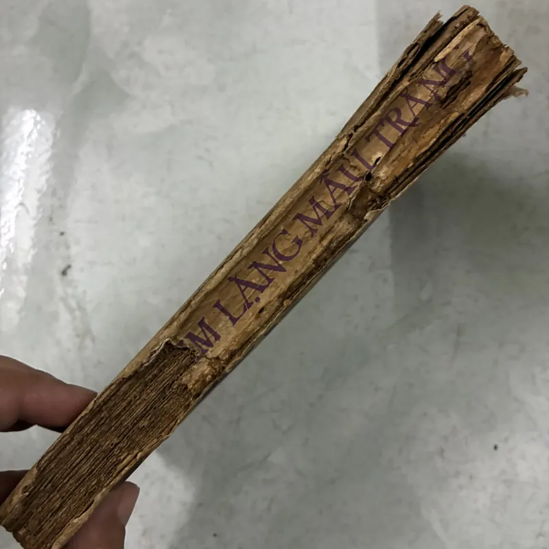 Sự im lặng màu trắng - Jack London 1025104