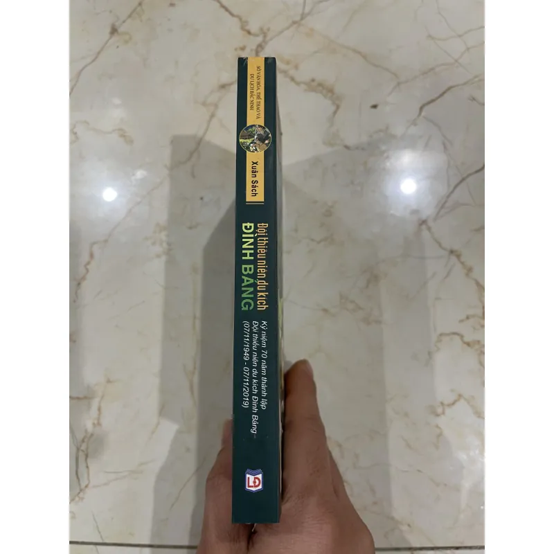 Đội thiếu niên du kích Đình Bảng 756898