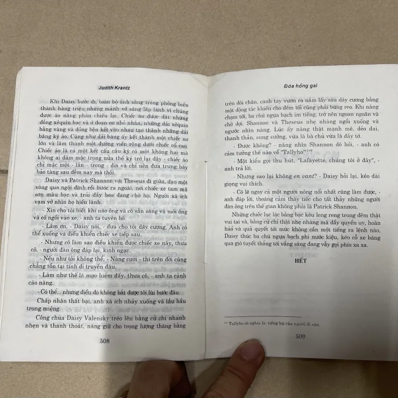 Đóa hồng gai - Judith Krantz (c47) 782207