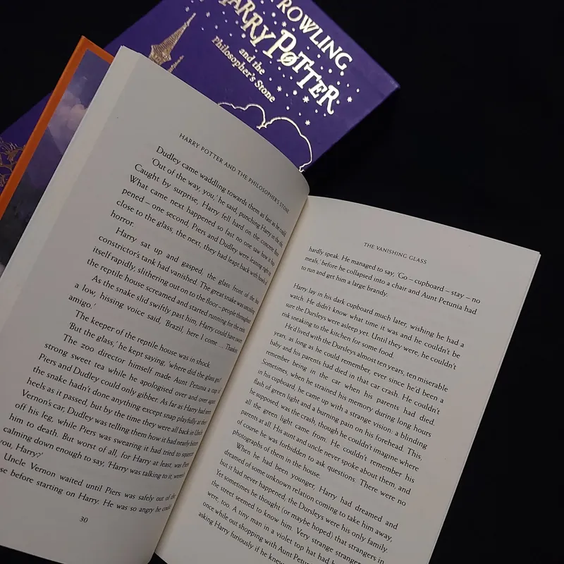 [Sách Cũ] Harry Potter and the Philosopher's Stone (Gift Edition) 654248