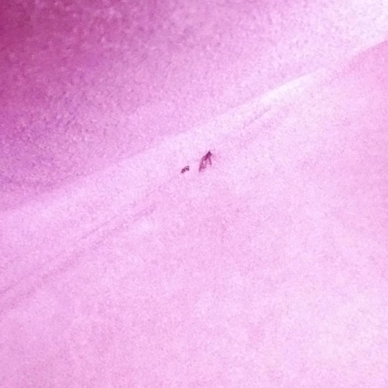 Túi đeo vai Louis Vuitton Epi Petit Noé M44109 611367