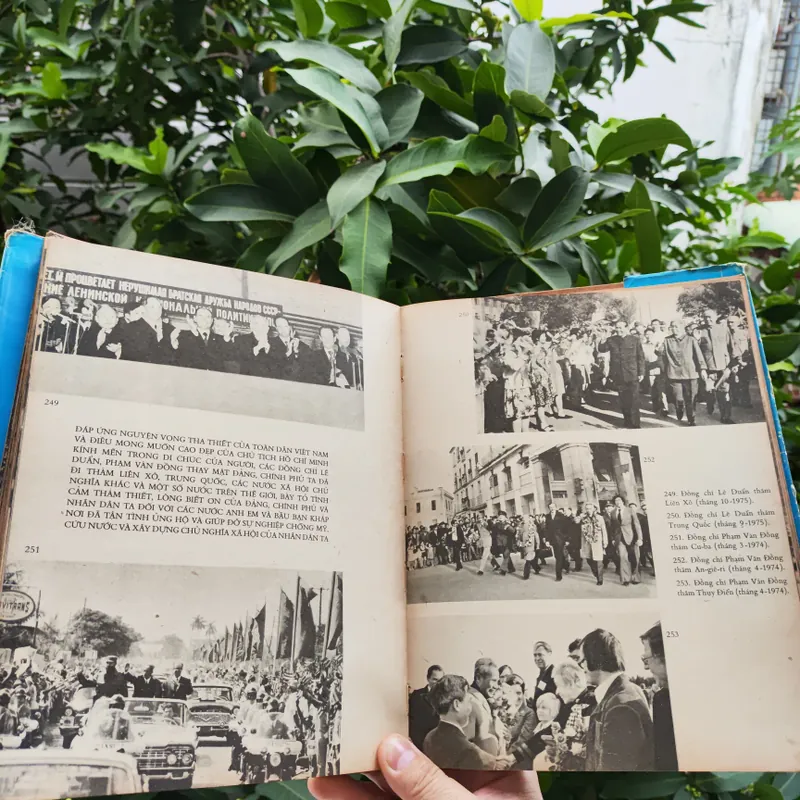 Dưới Lá Cờ Vẻ Vang Của Đảng 706340