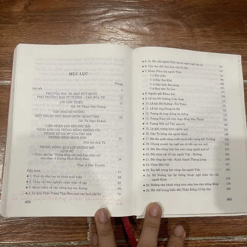 Văn Hoá Nõ Nường - Dương Đình Minh Sơn  (10) 1000745