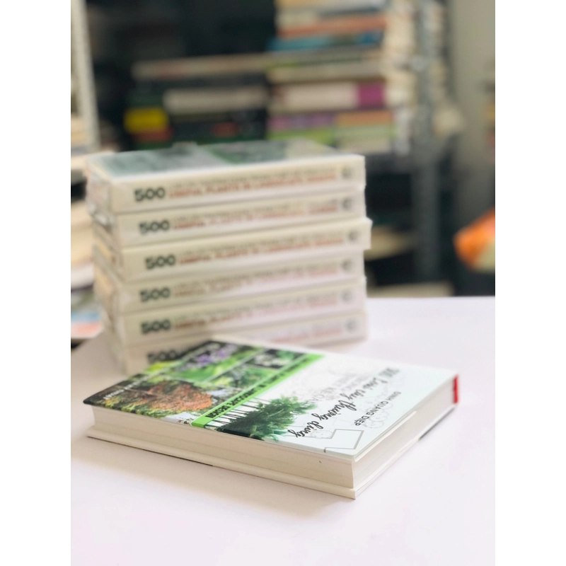 📚 500 LOÀI CÂY THƯỜNG DÙNG TRONG THIẾT KẾ CẢNH QUAN – Đinh Quang Diệp 519812