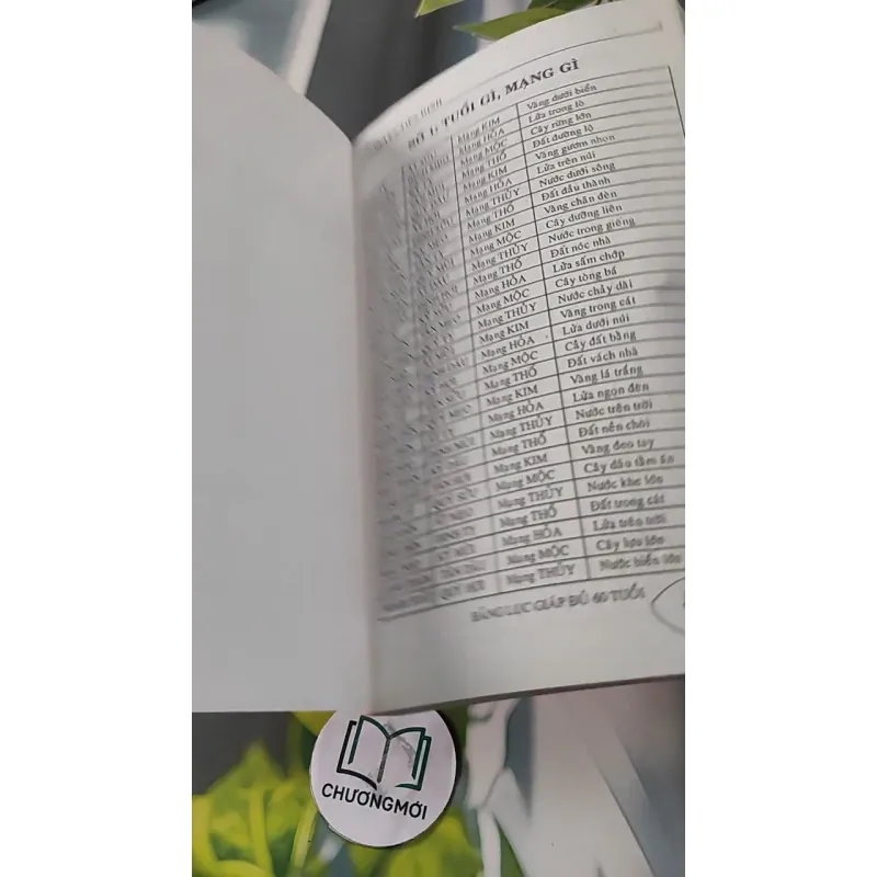 Căn Duyên Tiền Định 727287