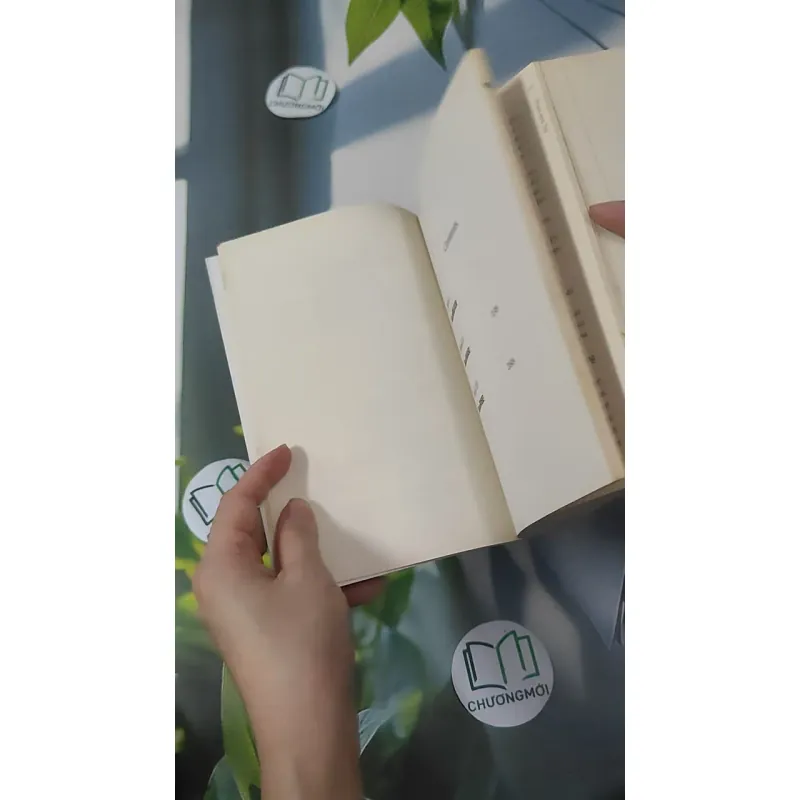 [MIỄN PHÍ BỌC SÁCH] SeaBean: The Trilogy - Sarah Holding 1033661