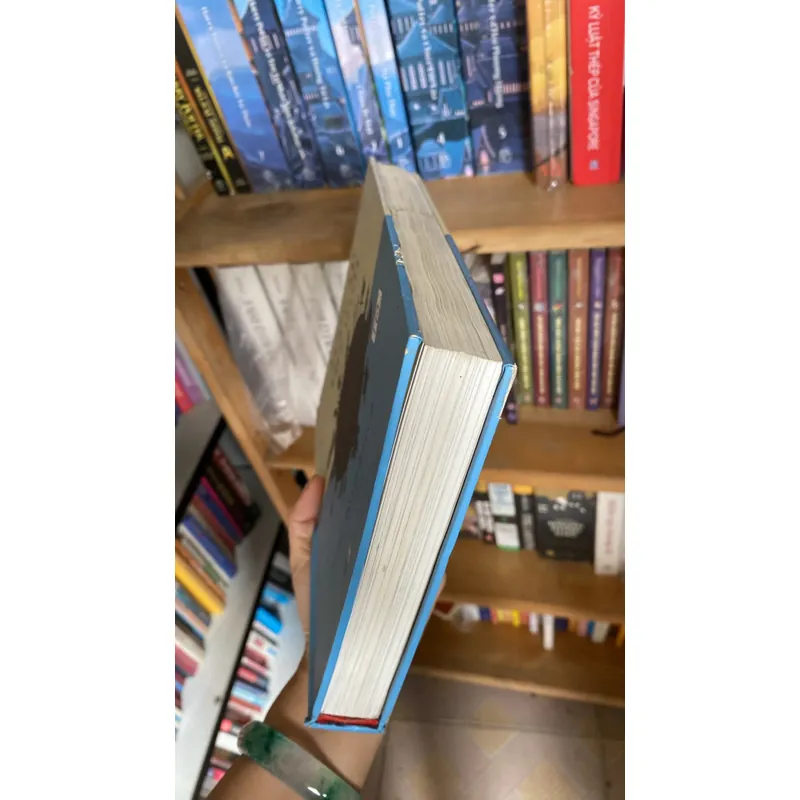 Lược sử thế giới bìa cứng  601206