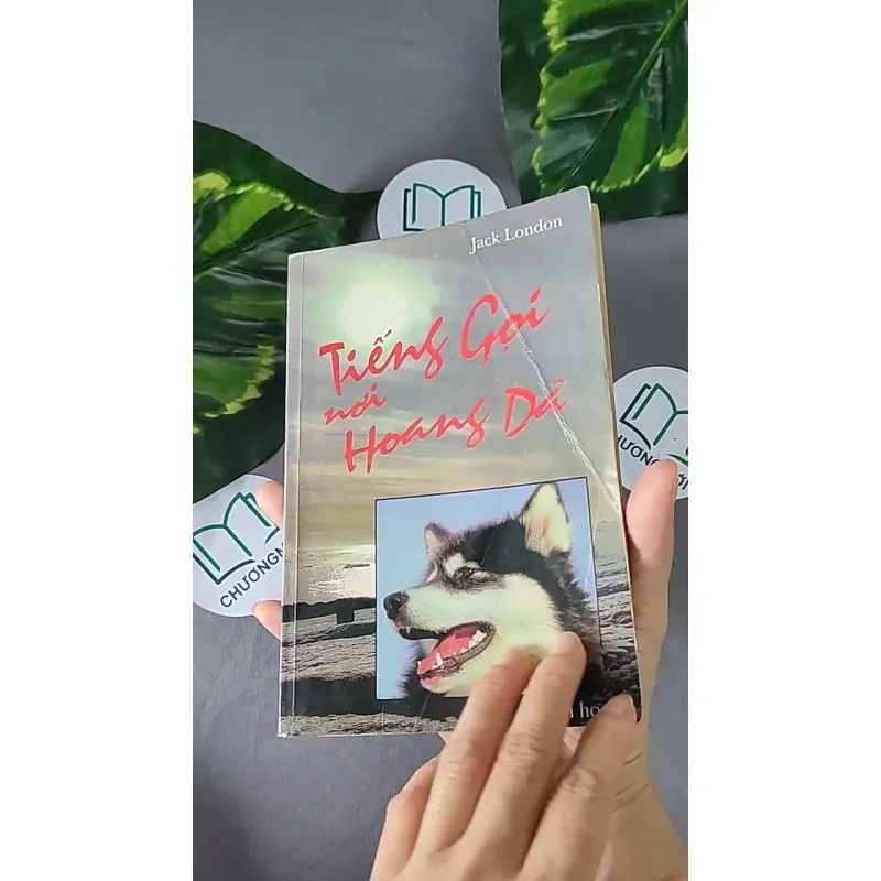 Tiếng Gọi Nơi Hoang Dã (1996) - Jack London 604594