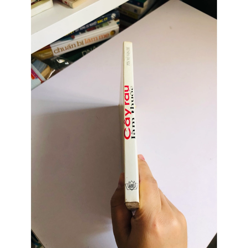 CÂY RAU LÀM THUỐC  548617