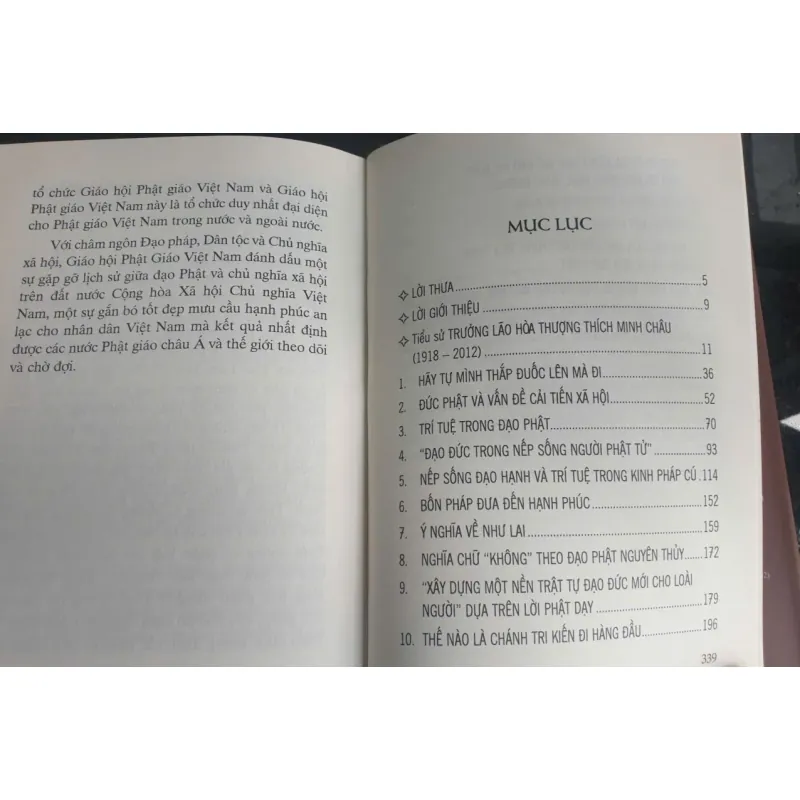 Sách Hãy Tự Mình Thắp Đuốc Lên Mà Đi - Thích Minh Châu% 688908
