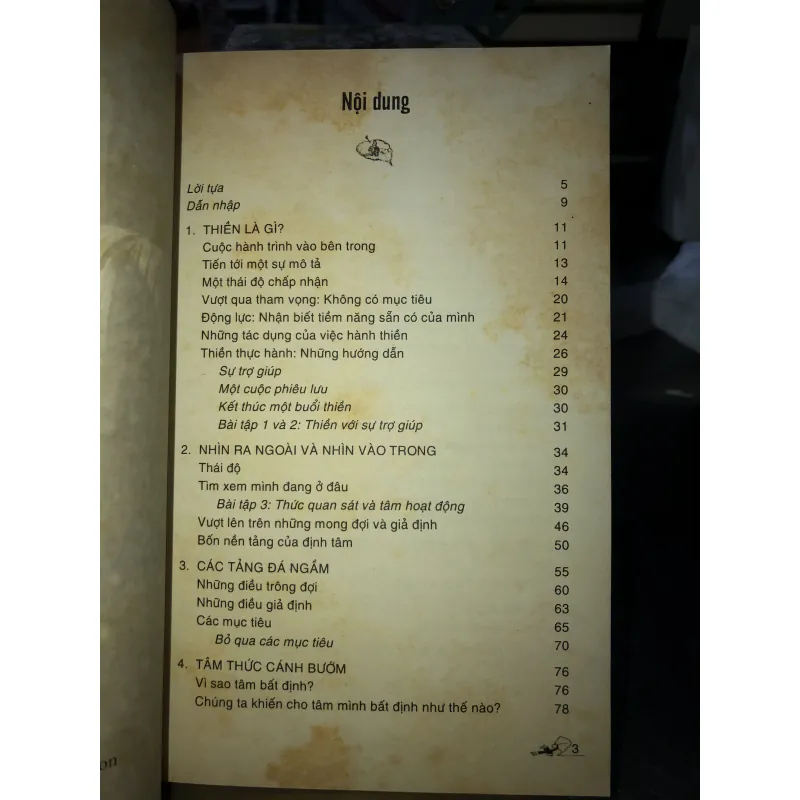 Tâm kim cương - Tâm lý học của việc hành thiền - Rob Nairn 781566