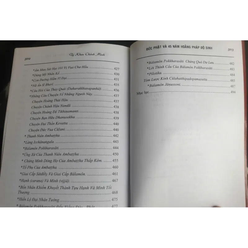 Đức Phật và 45 Năm Hoằng Pháp Độ Sinh - Tập 9 756021