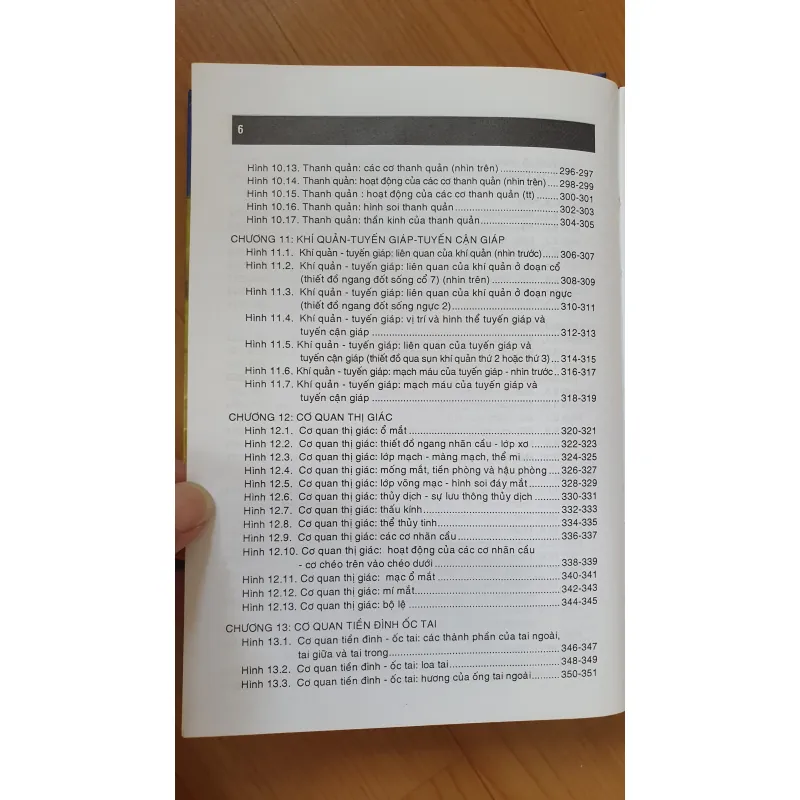 GIẢI PHẪU ĐẦU MẶT CO 752816