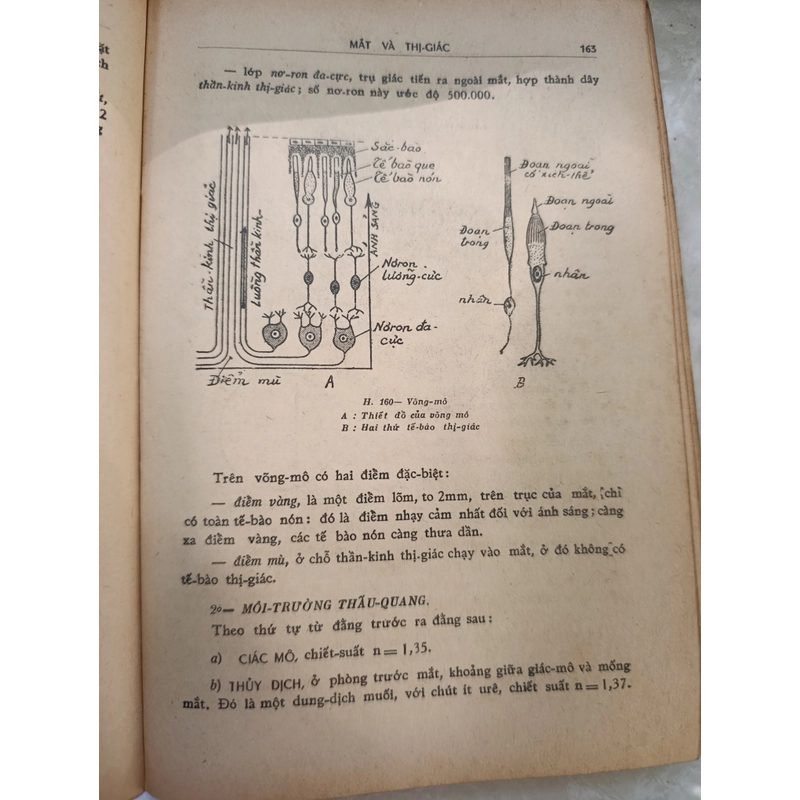 VẠN VẬT HỌC - NGUYỄN VĂN ĐỈNH 546566
