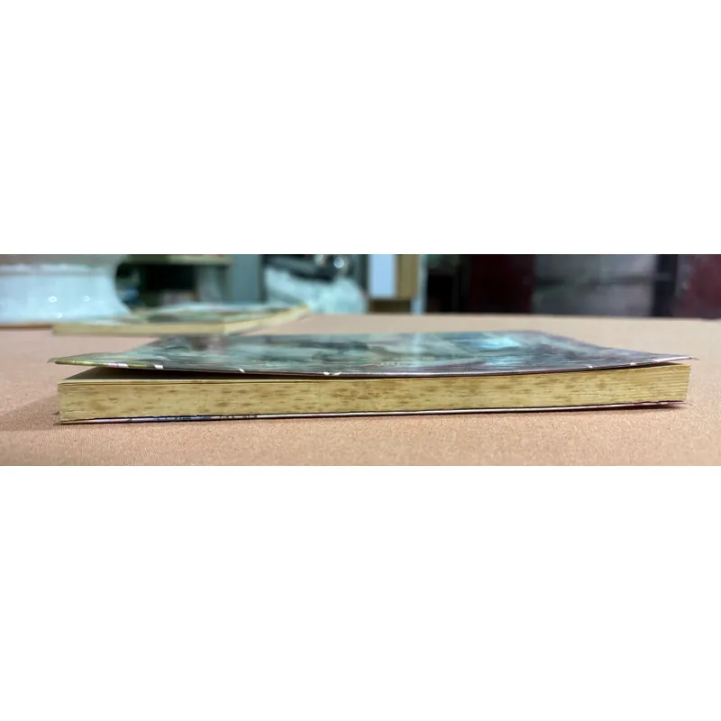 Minh tưởng quân hệ liệt: Phá Lãng Truỳ 🌊 599741