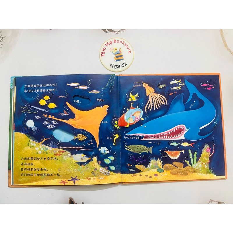 Picturebook bìa cứng tiếng Trung- chủ đề tự nhiên 466257