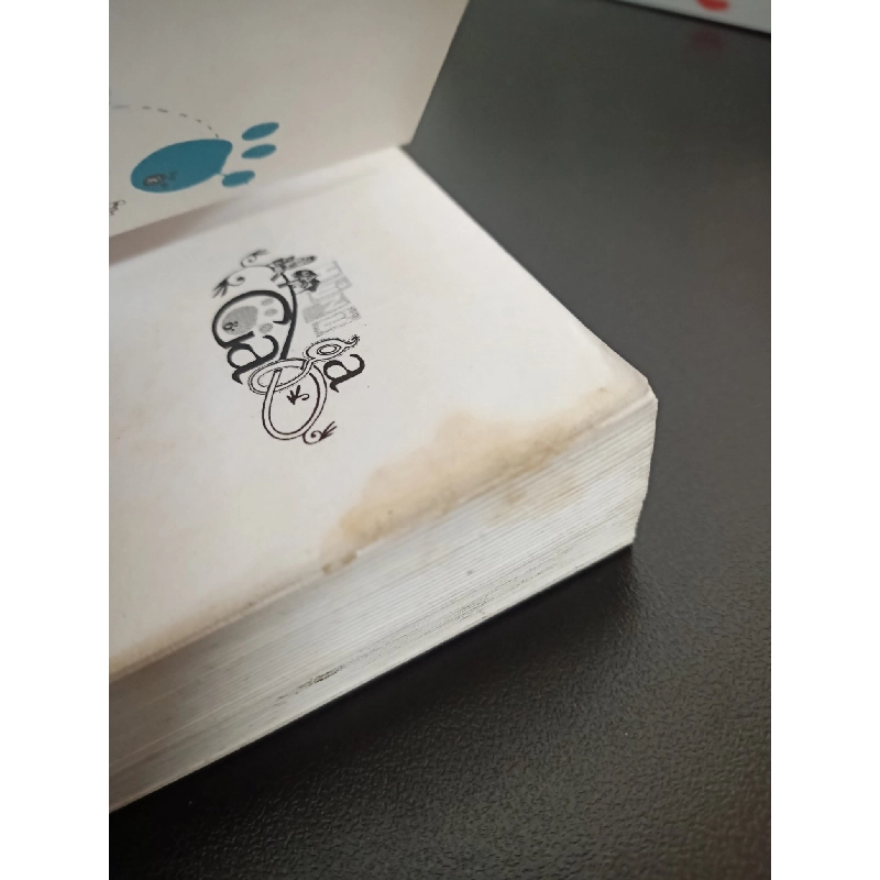 Hủ Nữ Gaga (2012) - Mèo Lười Ngủ Ngày Mới 80% HCM.ASB2102 913328