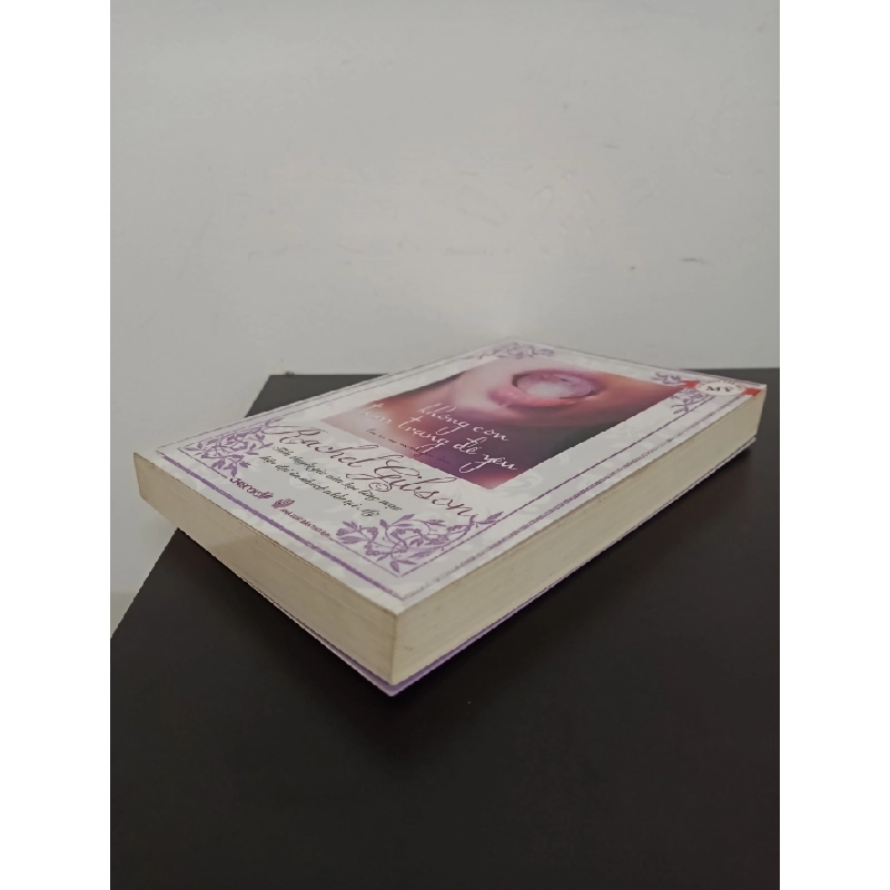 Tủ Sách Văn Học Mỹ - Không Còn Tâm Trạng Để Yêu (2010) - Rachel Gibson Mới 90% HCM.ASB2203 342320