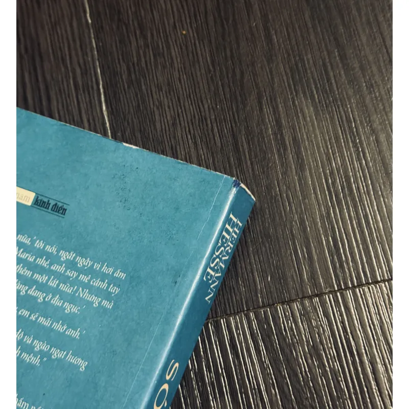 Combo 4 tác phẩm Hermann Hesse (đọc mô tả) 593570