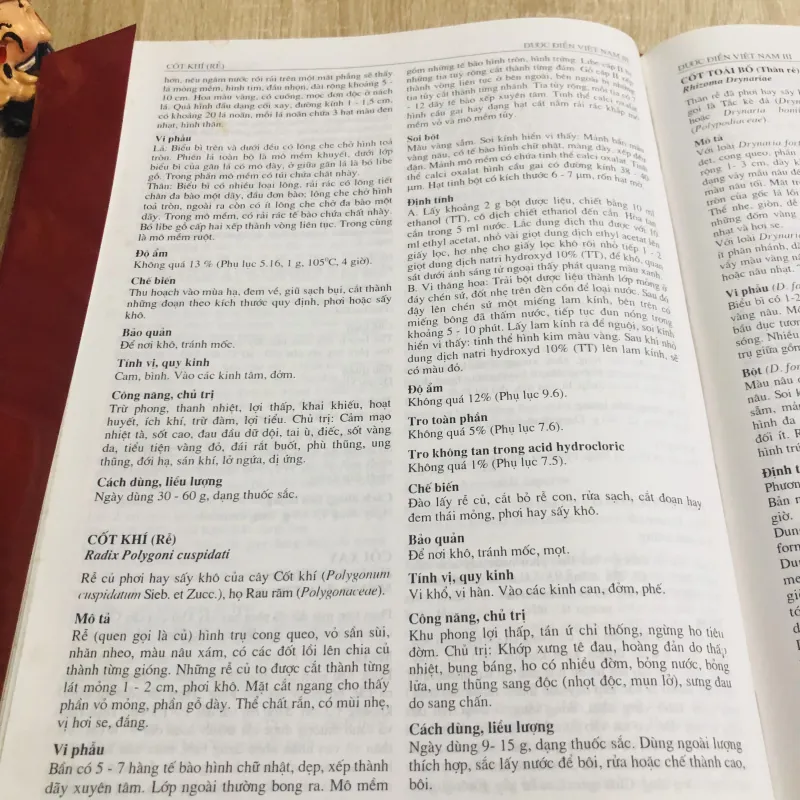 DƯỢC ĐIỂN VIỆT NAM 968610